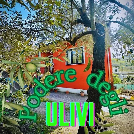 Nyaraló Podere Degli Ulivi Family *